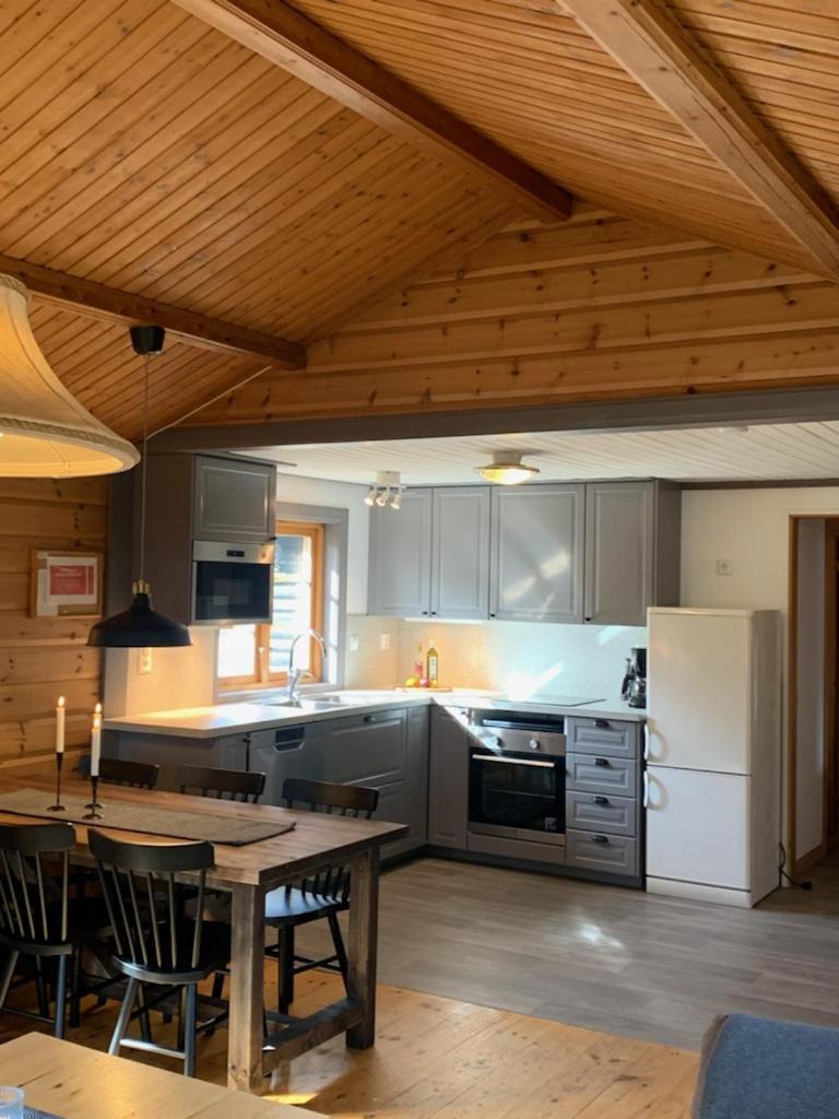 Bjoernbyn Apartment Salen  Luaran gambar